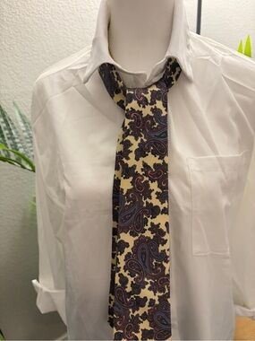 Damo Beige Paisley Silk Dress Tie with Blue and Burgundy Accents